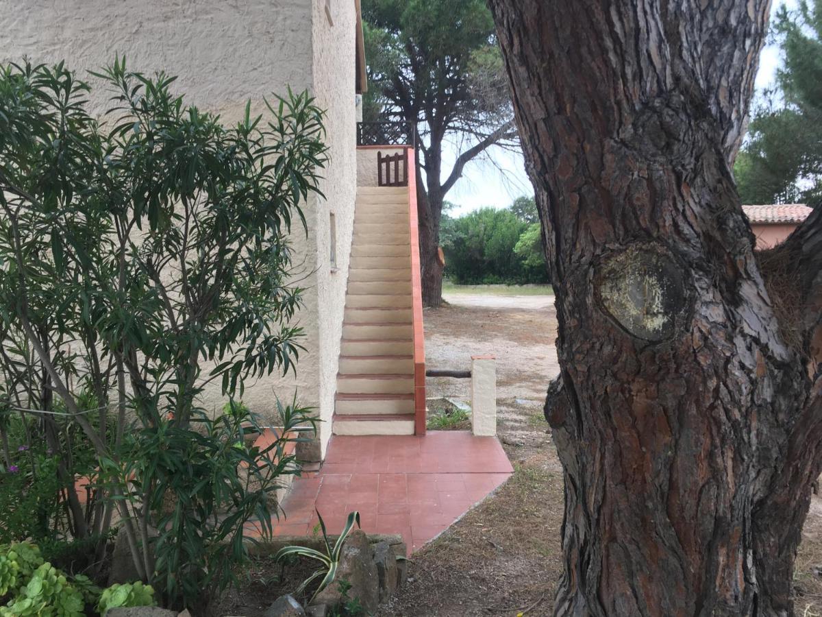 Monolocale A Rena Majore Di Gallura Экстерьер фото