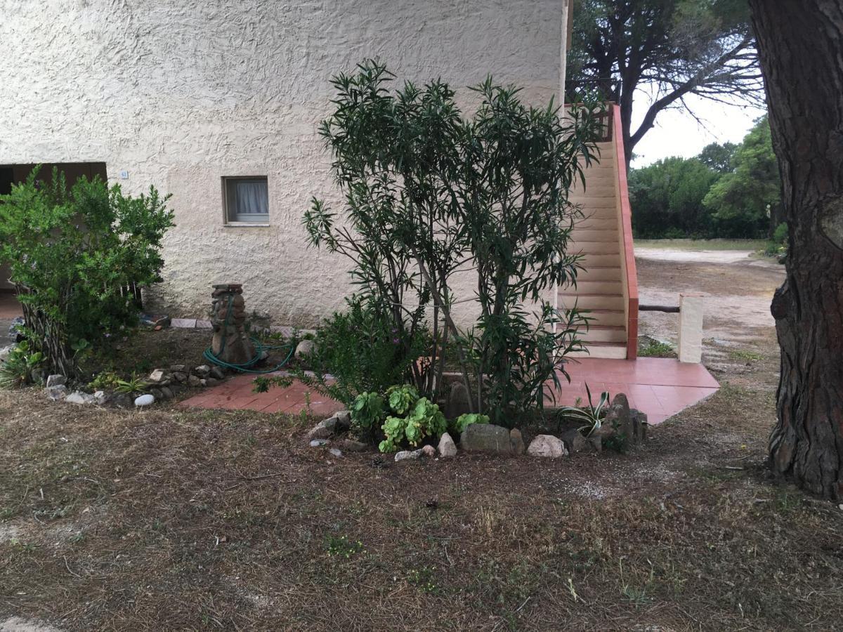 Monolocale A Rena Majore Di Gallura Экстерьер фото