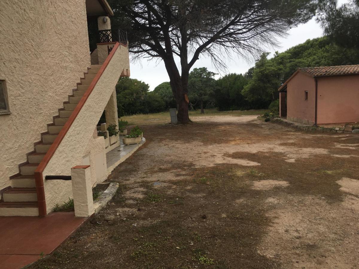 Monolocale A Rena Majore Di Gallura Экстерьер фото
